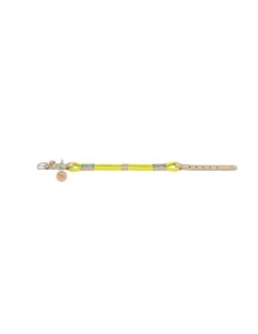 Collier pour Chien Hunter Malia Citron 12 40-49 cm