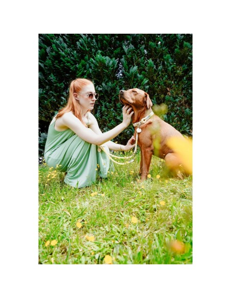 Collier pour Chien Hunter Malia Citron 12 40-49 cm