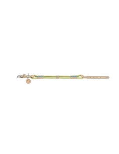 Collier pour Chien Hunter MALIA Vert 12 40-49 cm 2