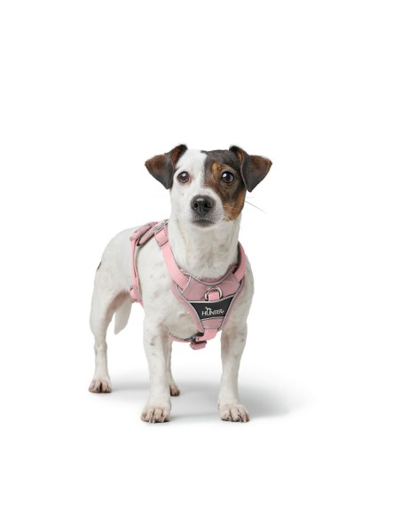 Harnais pour Chien Hunter DIVO UP Rose M