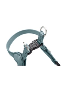 Harnais pour Chien Hunter SOHO MINI Bleu 2