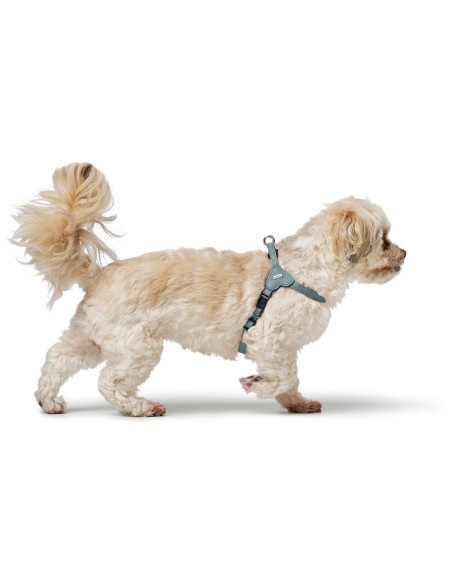 Harnais pour Chien Hunter SOHO MINI Bleu XS/S