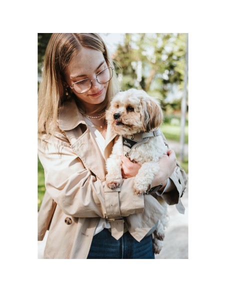 Harnais pour Chien Hunter DIVO UP Beige L/XL