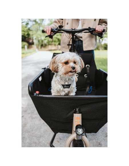 Harnais pour Chien Hunter DIVO UP Beige L/XL