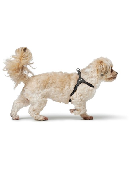 Harnais pour Chien Hunter SOHO MINI Noir