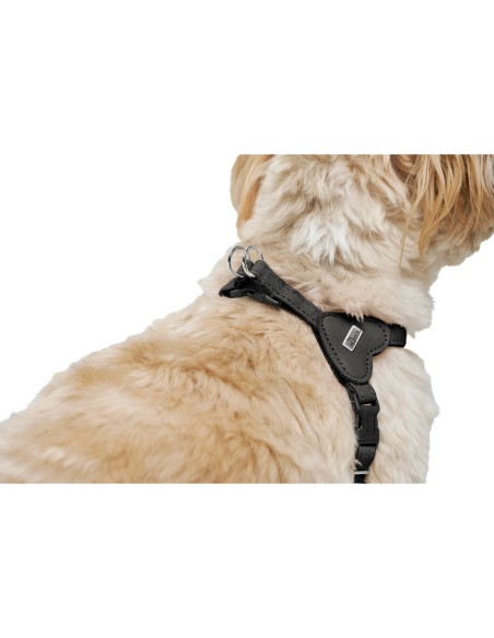 Harnais pour Chien Hunter SOHO MINI Noir