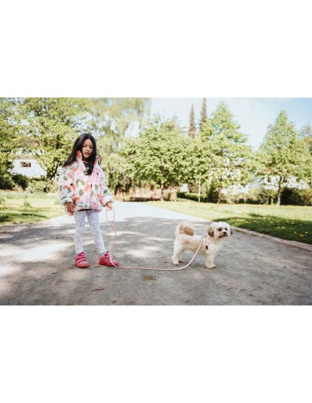 Harnais pour Chien Hunter SOHO MINI Rose XS