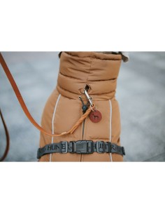 Vêtements pour animaux de compagnie Hunter PAXSON Marron Polyester 2