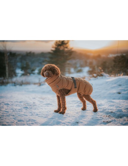 Vêtements pour animaux de compagnie Hunter PAXSON Marron Polyester