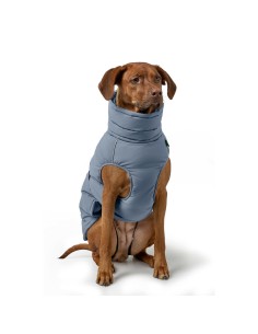 Vêtements pour animaux de compagnie Hunter PAXSON Bleu Polyester 2