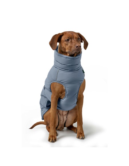 Vêtements pour animaux de compagnie Hunter PAXSON Bleu Polyester