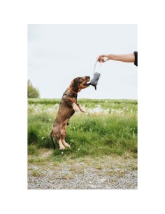 Jouet pour chien Hunter NEBRASKA Beige 2