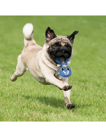 Jouet pour chien The Avengers