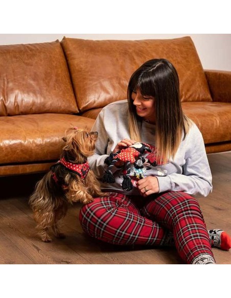 Jouet pour chien Minnie Mouse