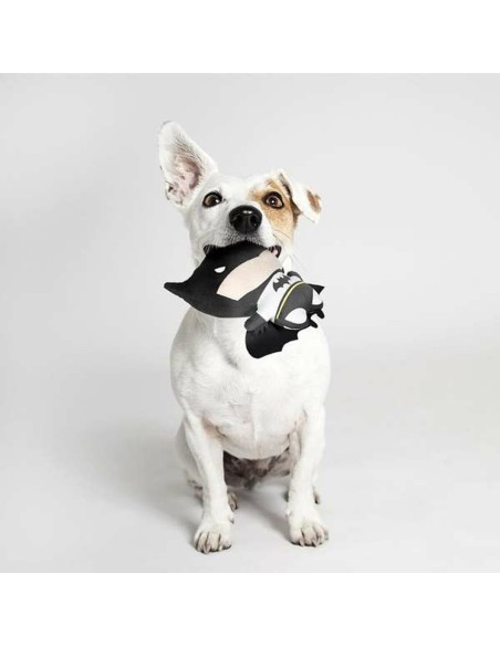 Jouet pour chien Batman