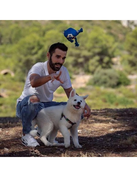 Jouet pour chien The Avengers