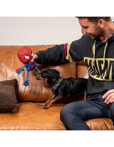 Jouet pour chien Spider-Man