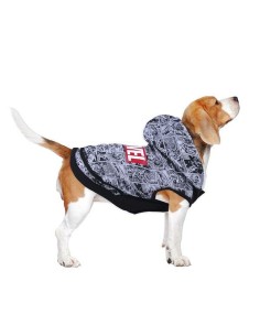Pull pour Chien Marvel Gris XS 2