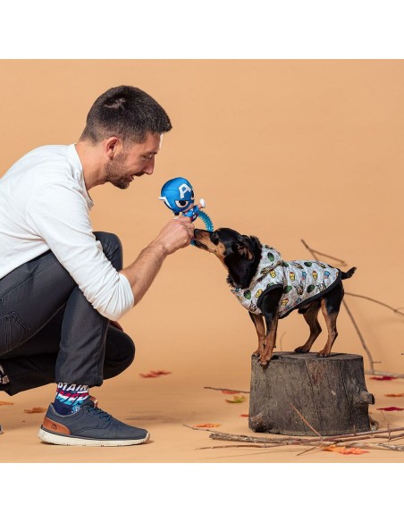 Manteau pour Chien The Avengers Gris L