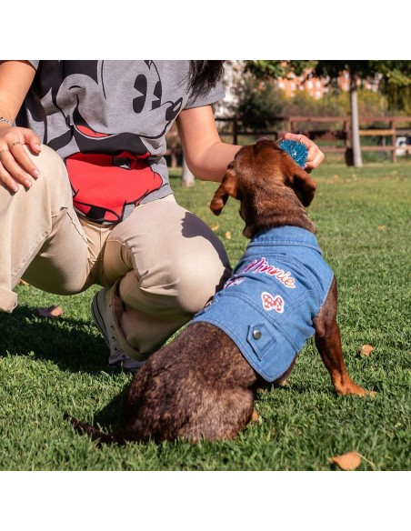 Veste pour chien Minnie Mouse M Bleu