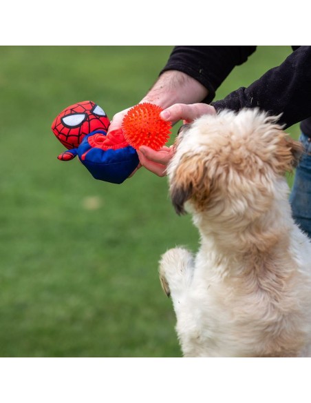 Jouet pour chien Spider-Man Rouge 11,0 x 18,0 x 10,0 cm
