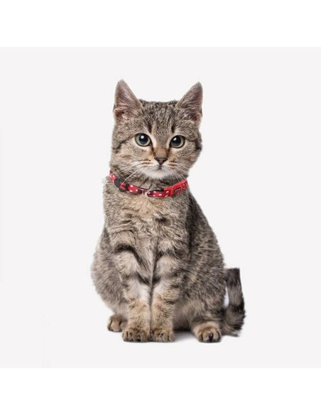 Collier pour Chien Minnie Mouse Rouge