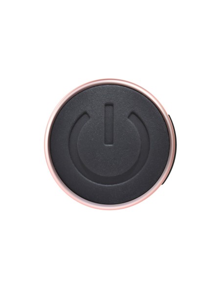 Vibrateur G-Spot Playboy Playboy Multicouleur