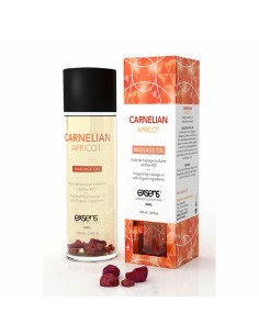 Huile de massage érotique Exsens Abricot