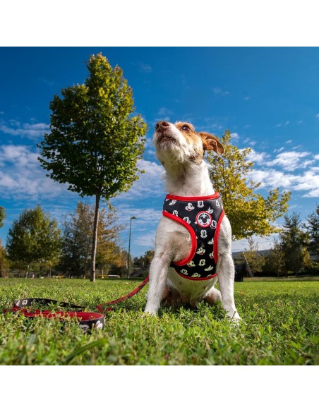 Harnais pour Chien Mickey Mouse S/M