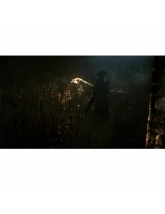 Jeu vidéo PlayStation 4 Sony Bloodborne PlayStation Hits 2