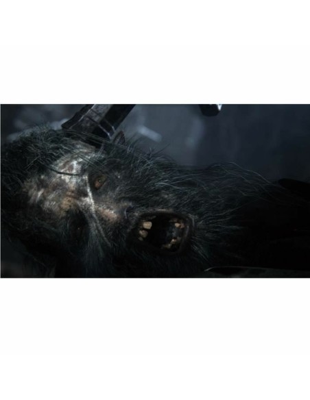 Jeu vidéo PlayStation 4 Sony Bloodborne PlayStation Hits