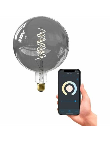 Lampe LED Calex G 6 W