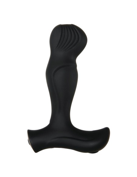 Vibromasseur anal Zero Tolerance Zero Tolerance Noir