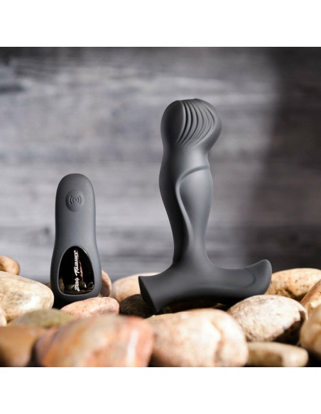 Vibromasseur anal Zero Tolerance Zero Tolerance Noir