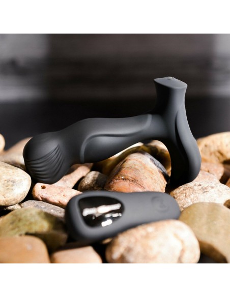 Vibromasseur anal Zero Tolerance Zero Tolerance Noir