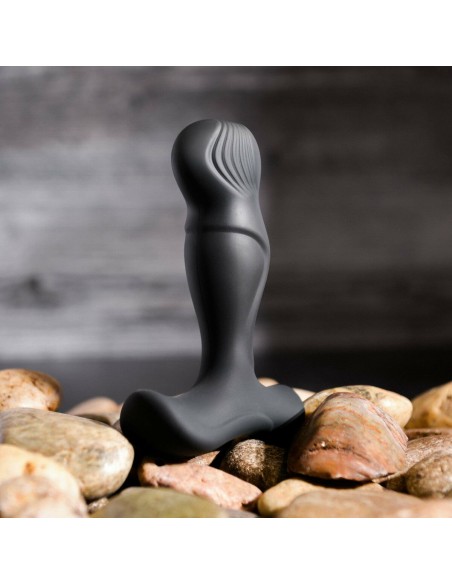 Vibromasseur anal Zero Tolerance Zero Tolerance Noir