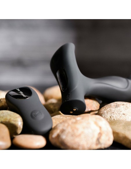 Vibromasseur anal Zero Tolerance Zero Tolerance Noir