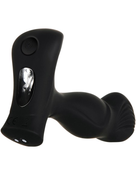 Vibromasseur anal Zero Tolerance Zero Tolerance Noir