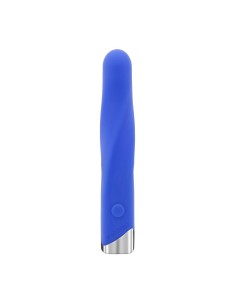 Vibromasseur Evolved Bleu 2