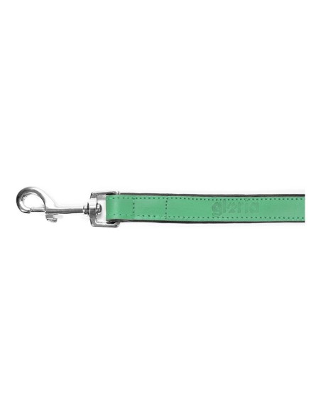 Laisse pour Chien Gloria 1.8 x 100 cm Vert