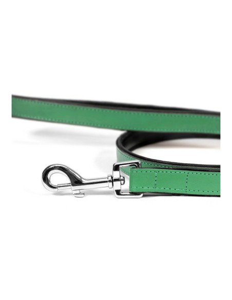 Laisse pour Chien Gloria 1.8 x 100 cm Vert