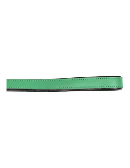 Laisse pour Chien Gloria 1.8 x 100 cm Vert