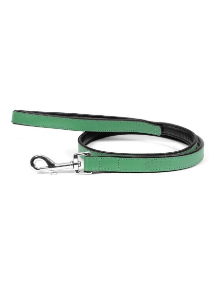 Laisse pour Chien Gloria 1.8 x 100 cm Vert