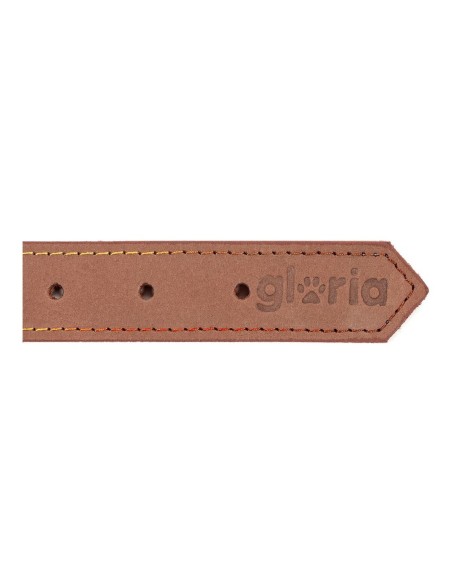 Collier pour Chien Gloria Oasis Marron (70 x 3 cm)