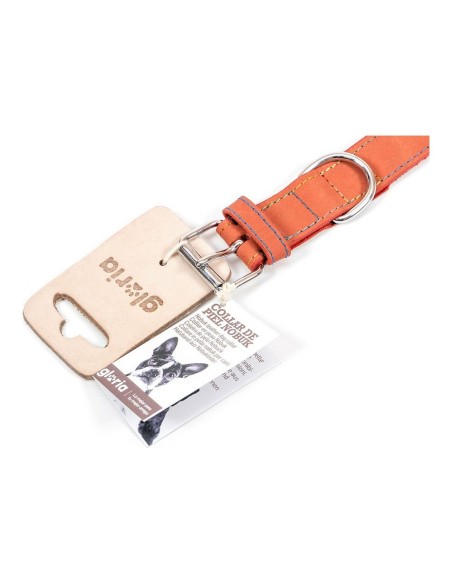 Collier pour Chien Gloria Oasis Rouge (60 x 3 cm)