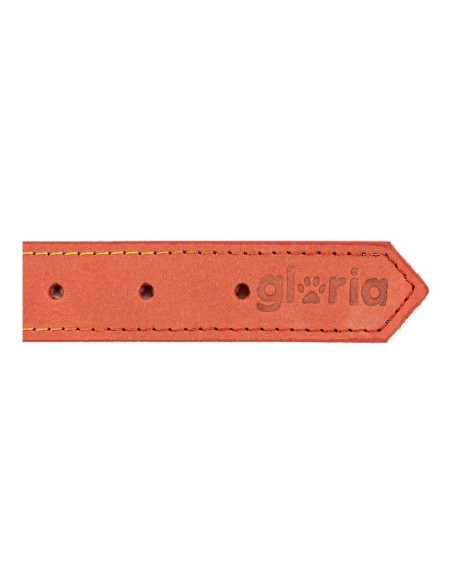Collier pour Chien Gloria Oasis Rouge (60 x 3 cm)