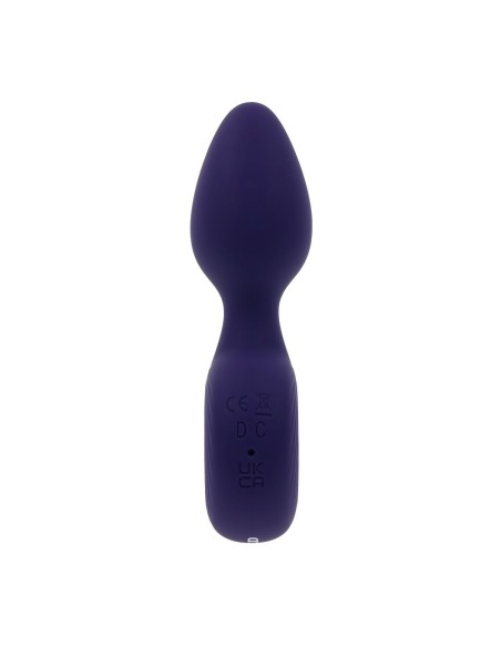 Vibromasseur Evolved Violet