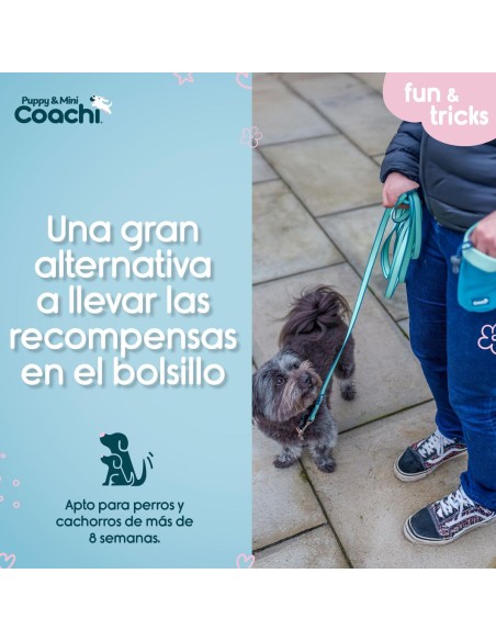 Harnais pour Chien Coachi