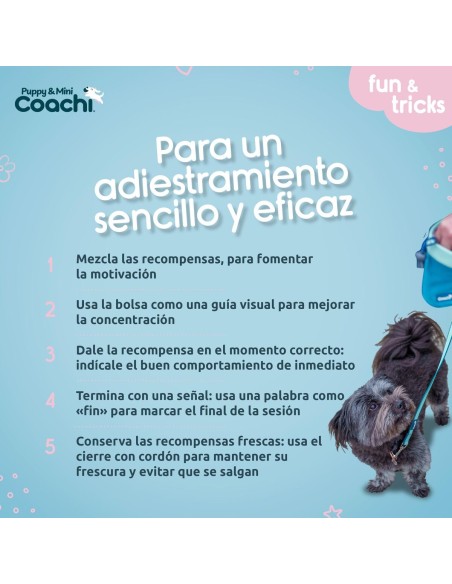 Harnais pour Chien Coachi