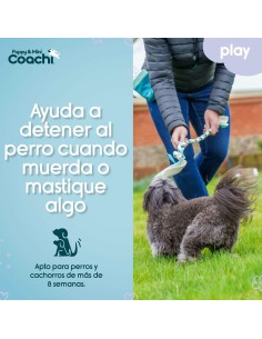 Harnais pour Chien Coachi